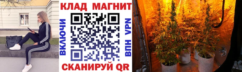 Виды наркотиков купить Североморск Бошки Шишки  Вейп ТГК  Мефедрон  Альфа ПВП 