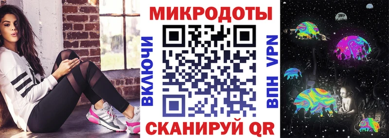 закладка  Североморск  Галлюциногенные грибы Psilocybe 